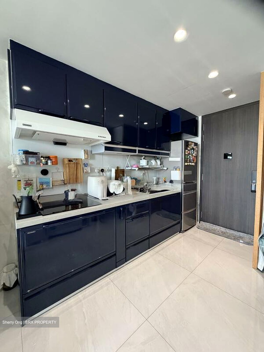 Riverfront Residences (D19), Apartment #502264961